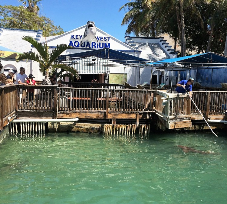 Key West Aquarium (Key&nbspWest,&nbspFL)
